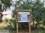 Birdwatching in Lesbos
