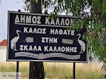 Welkom in Skala Kallonis