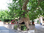 Traditioneel bergdorp Agra foto 010