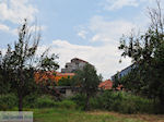 Nabij Panagia Glykofilloussa Petra foto 2
