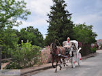Molyvos (Molivos) foto 6
