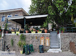 Traditioneel terrasje Molyvos