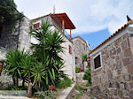 Molyvos traditionele huizen