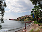 Blue Flag Beach Molyvos