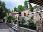 Hotel hermes Molyvos