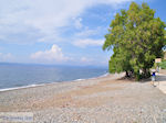 Het zand- kiezelstrand in Eftalou nabij Molyvos