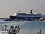 Nel Lines Theofilos in Mytilini